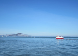 Alcatraz Bild
