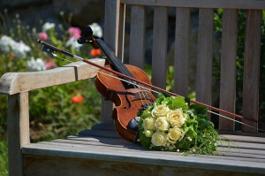 Violine Bild